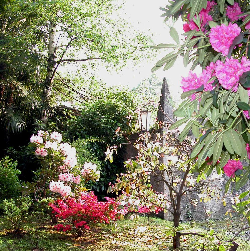 Du Parc Dipendenza Lake Maggiore Exterior foto