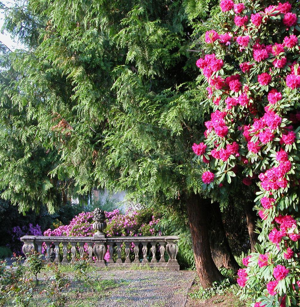Du Parc Dipendenza Lake Maggiore Exterior foto