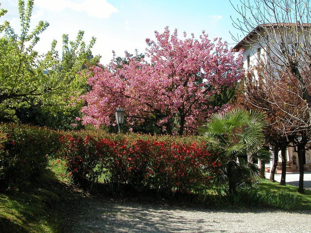 Du Parc Dipendenza Lake Maggiore Exterior foto
