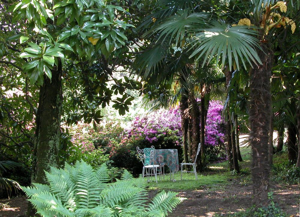 Du Parc Dipendenza Lake Maggiore Exterior foto