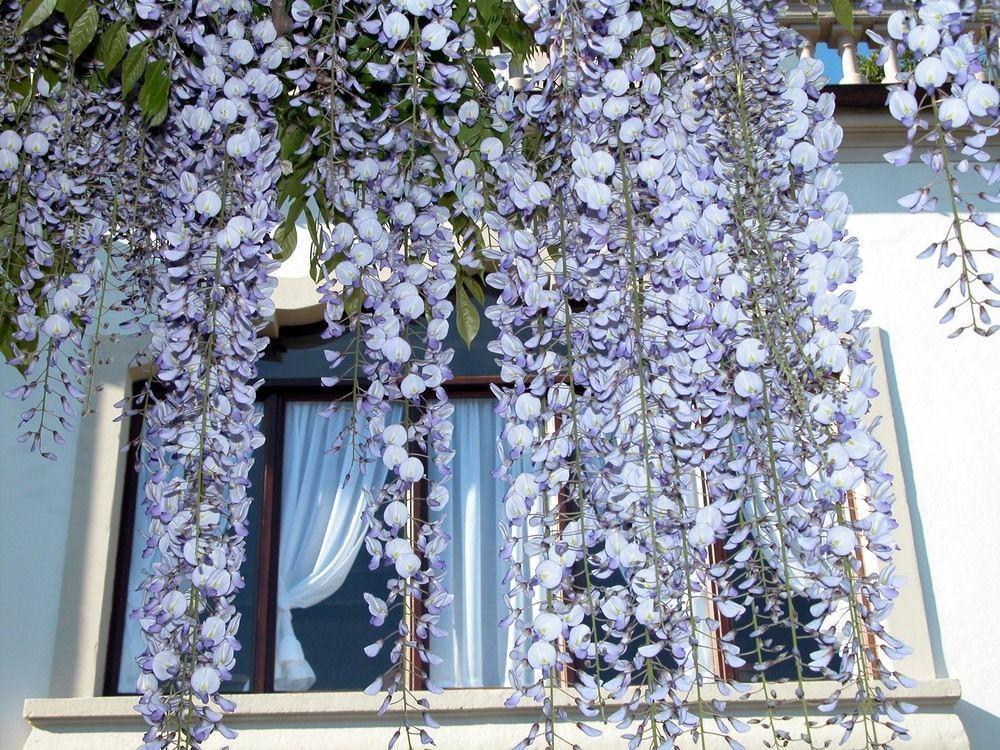 Du Parc Dipendenza Lake Maggiore Exterior foto